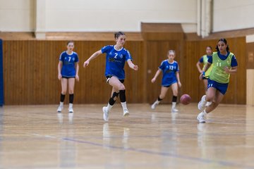 Bild 189 - wBJ TSV Ellerau - HSG Stoertal Hummeln : Ergebnis: 26:19